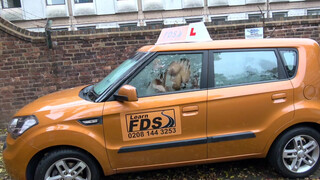 Fake Driving School csöcsö piercinges gót spiné análba kéri
